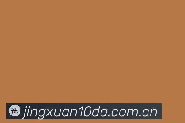 关于精选10大体育竞猜手机版官网